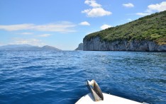 Capri by Boat 